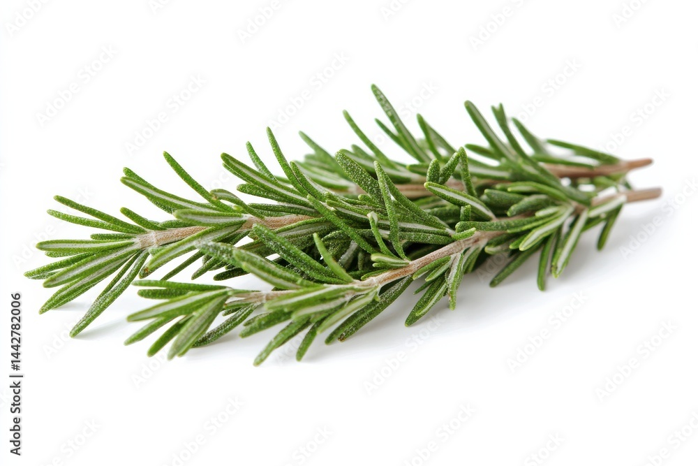 Fototapeta premium Sprigs of fresh rosemary