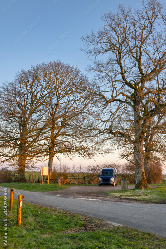 Van parked near picnic area in countryside at sunset under bare trees