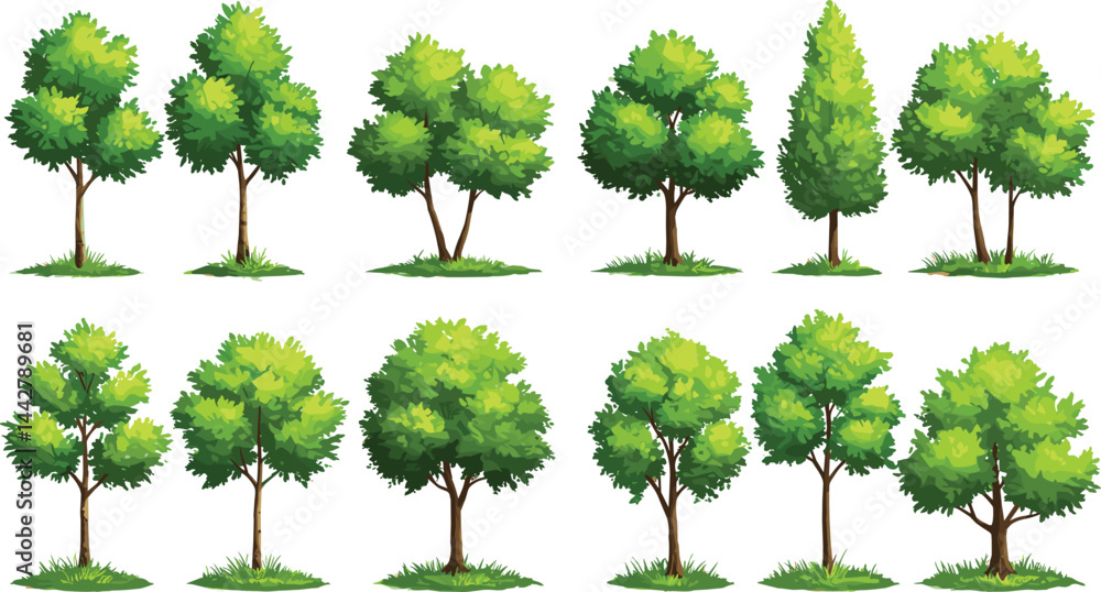 Fototapeta premium forest, background, group, concept, garden, environment, growth, field, eco, ecology, botany, foliage, decoration, ecosystem, branch, deciduous, botanical, element, bonsai, collection, big, cutout, fi