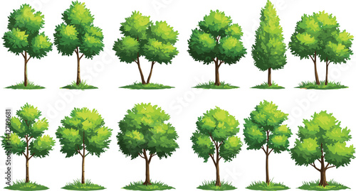 forest, background, group, concept, garden, environment, growth, field, eco, ecology, botany, foliage, decoration, ecosystem, branch, deciduous, botanical, element, bonsai, collection, big, cutout, fi