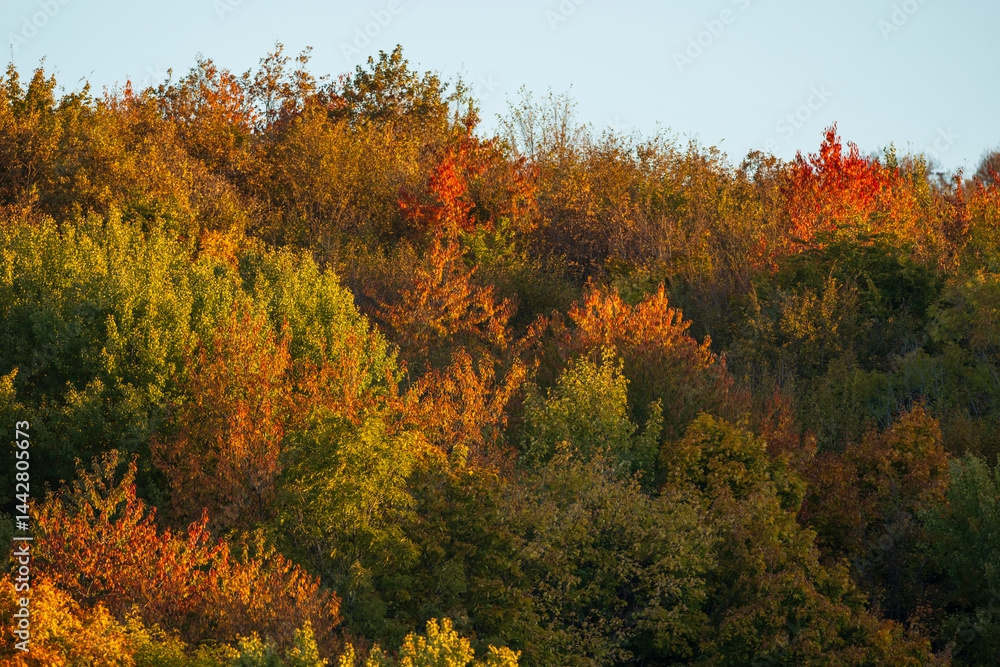 Colorful autumn forest covering a hill at sunset near Silica (Szilice), National Park Slovak Kras, Slovakia