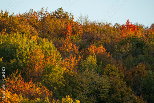 Obraz na płótnie Colorful autumn forest covering a hill at sunset near Silica (Szilice), National Park Slovak Kras, Slovakia w salonie