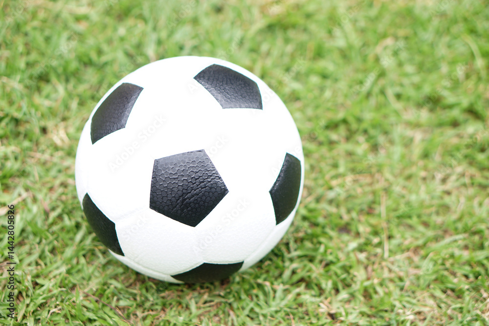 Fototapeta premium Football, soccer ball on green grass field background. Concept, Sport equipment. sport, workout, exercise for health. Hobby. Football match. 