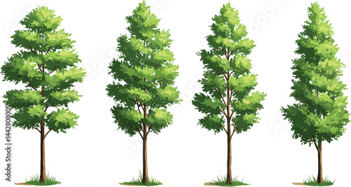 Vector watercolor green tree or forest side view isolated on white background