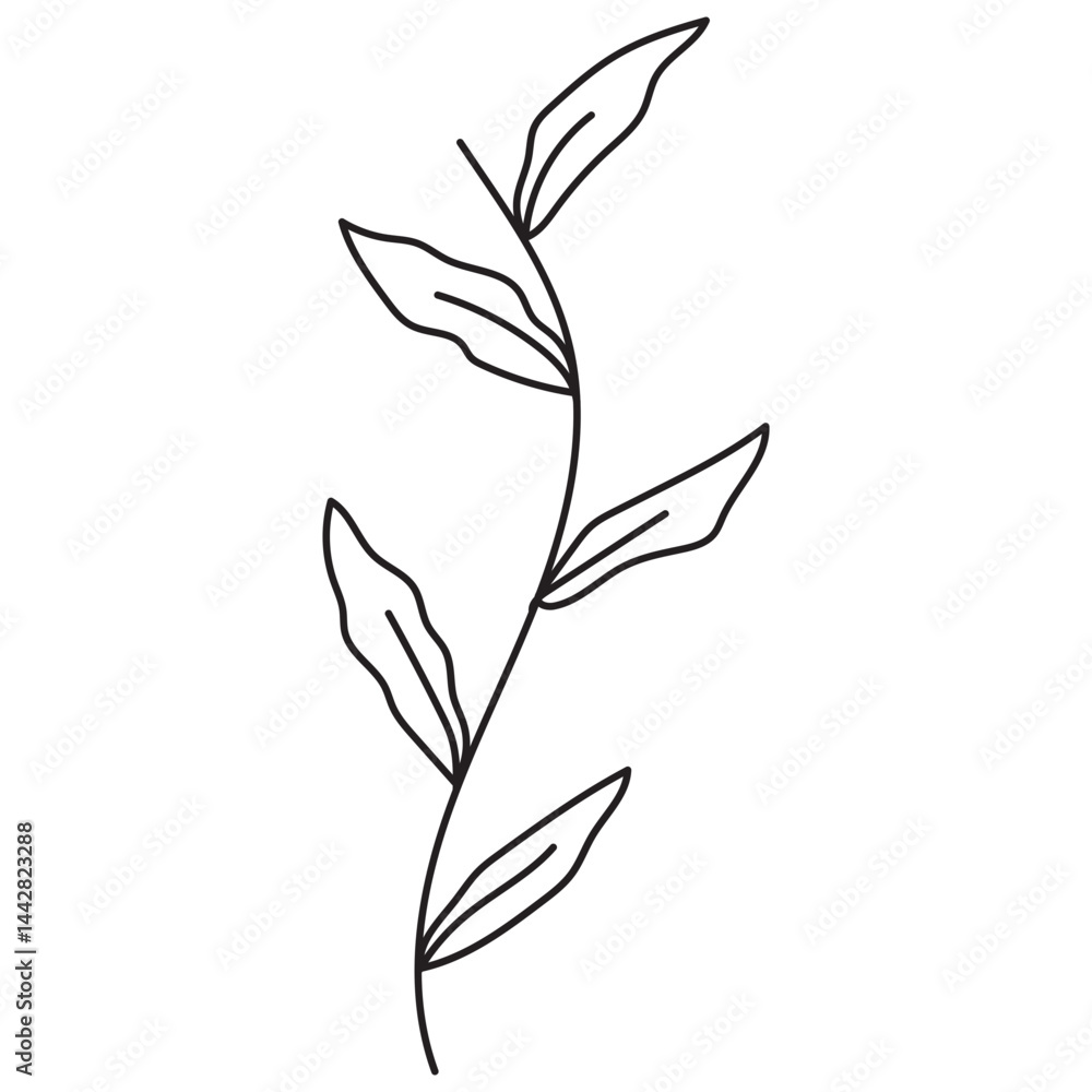 Fototapeta premium Hand Drawn Plants