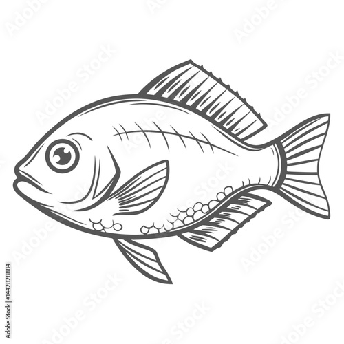 Black Axil Chromis Fish Line Art Illustration