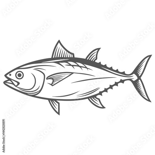 Blackfin Tuna Illustration, Thunnus Atlanticus