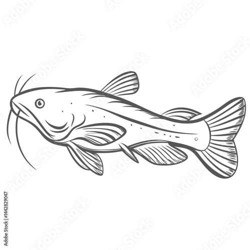 Brown Bullhead Catfish Line Art Illustration