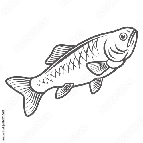 Golden Mahseer Fish Line Art Illustration