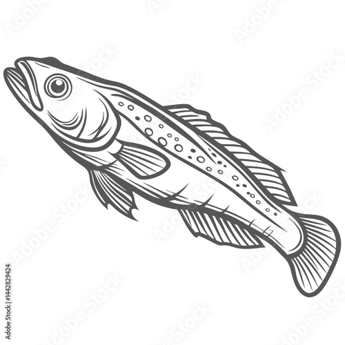 European Hake Fish Line Art Illustration