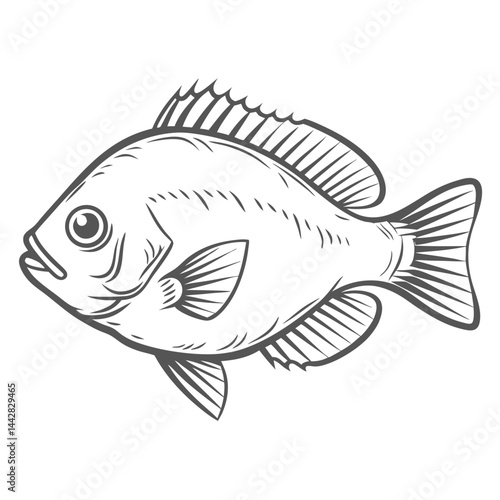 Longear Sunfish Line Art Illustration