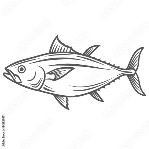 Longtail Tuna Fish Vector Illustration