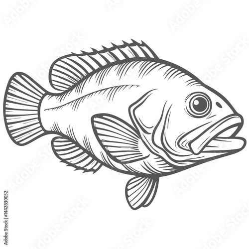 Valokuva Scamp Grouper Fish Line Art Illustration