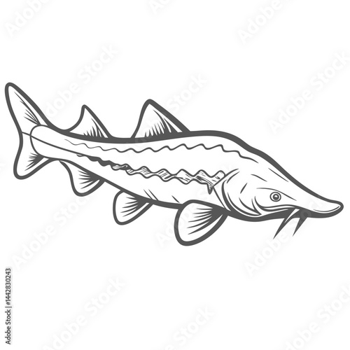 White Sturgeon Line Art Vector Illustration