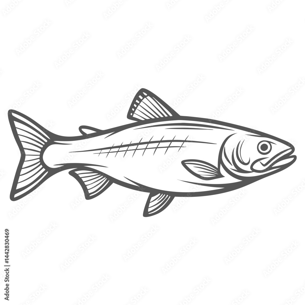 Fototapeta premium Mountain Whitefish Line Art Illustration