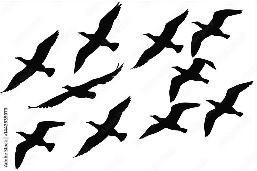 Flock of flying birds silhouette vector, Birds flock Flying in the sky black silhouette Flock of flying birds silhouette vector, Birds flock Flying in the sky black silhouette