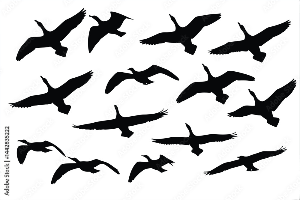 Flock of flying birds silhouette vector, Birds flock Flying in the sky black silhouette Flock of flying birds silhouette vector, Birds flock Flying in the sky black silhouette