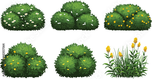 Vector watercolor blooming flower tree or forest side view isolated on white background