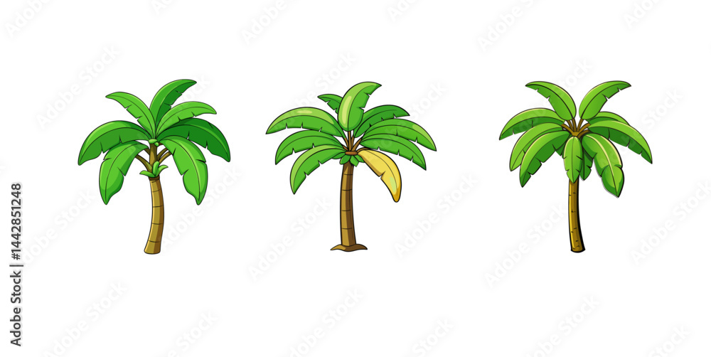 Obraz premium Set of Banana Tree Vector Illustration, Tropical Fruit Plant Drawing, Exotic Jungle Botanical Art, Greenery Clipart