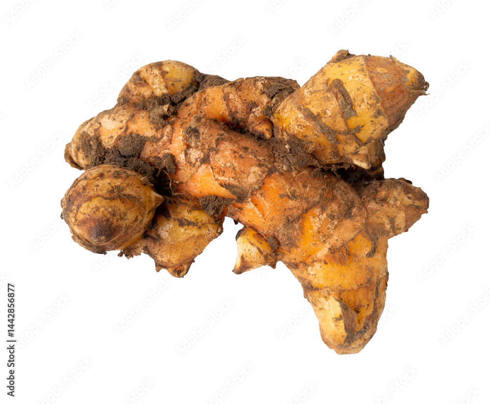 turmeric isolated on white background turmeric isolated on white background