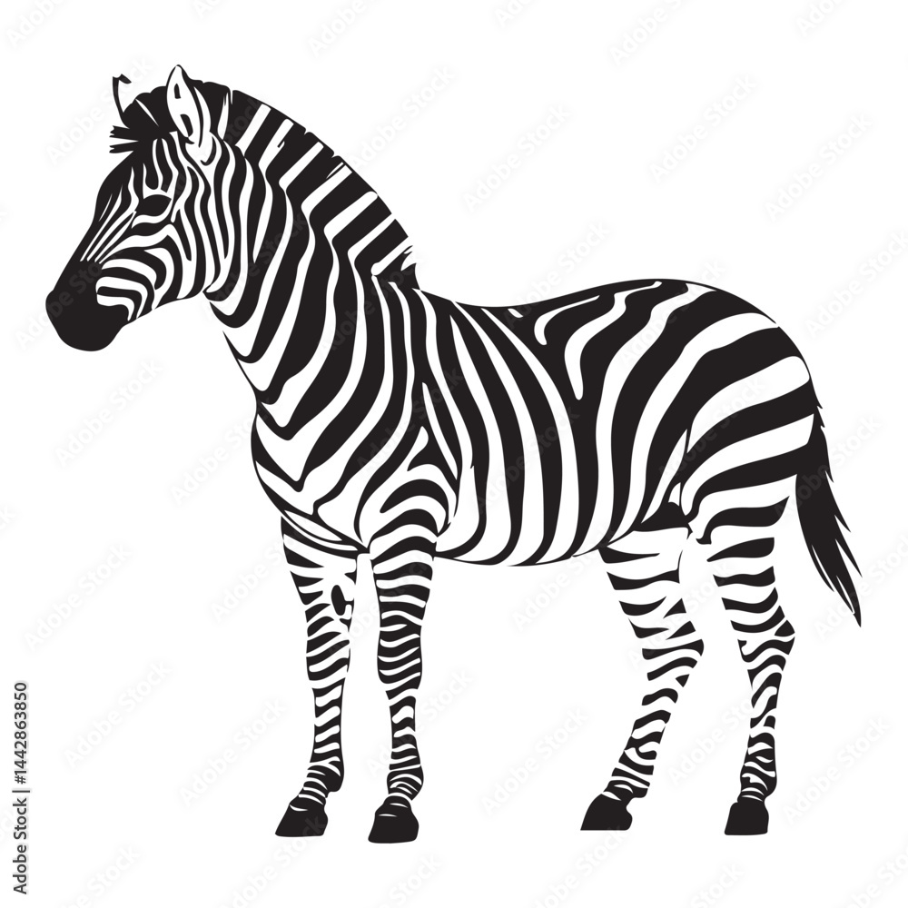 A zebra Vector Black silhouettes. with white background art illustration A zebra Vector Black silhouettes. with white background art illustration