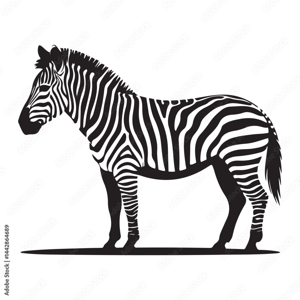 Fototapeta premium A zebra Vector Black silhouettes. with white background art illustration