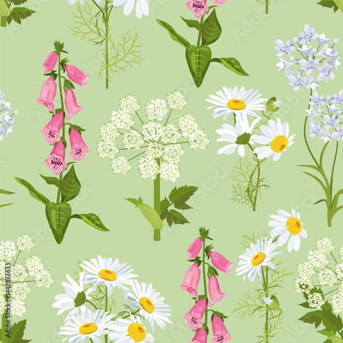 Seamless vector illustration with chamomile, angelica and digitalis on a green background. For decorating textiles, packaging