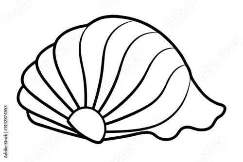 Single Sea Shell Line Art Vector Illustration