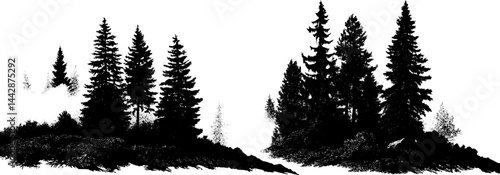 Engraved illustration of early morning misty forest scene for nature art design