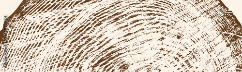 Layers of tree growth. Poster background. Cross-section of a tree trunk. Vector image.	