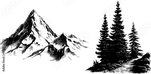 Engraved landscape illustration featuring misty mountains and evergreen trees for nature-inspired designs