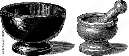 Engraved apothecary illustration featuring mortar and pestle for vintage herbology design