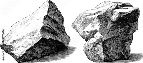 Engraved illustration of resilience and stubbornness featuring detailed rocks