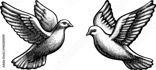 Engraved illustration of faith symbols featuring two soaring doves in flight