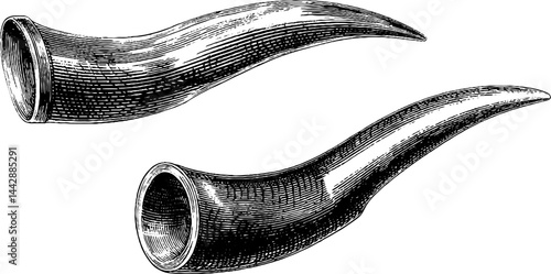 Ancient horn engravings - detailed historical art set for design and decoration