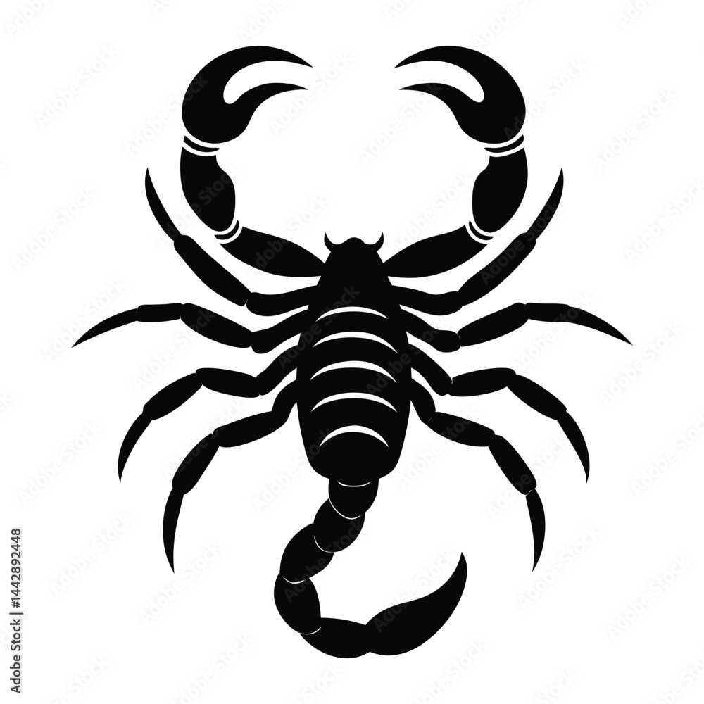 Fototapeta premium scorpion silhouette isolated on white