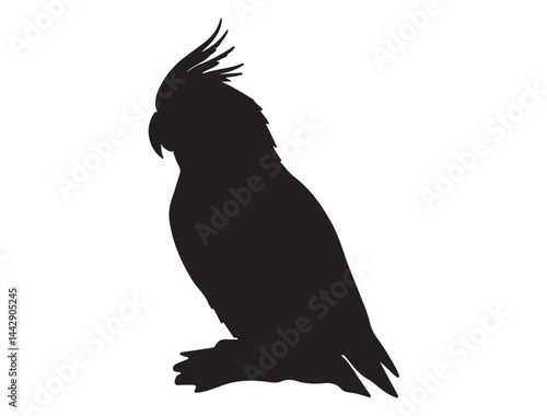 COCKATIEL SILHOUETTE WHITE BACKGROUND