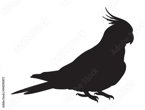 COCKATIEL SILHOUETTE WHITE BACKGROUND