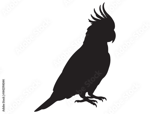 COCKATOO SILHOUETTE WHITE BACKGROUND