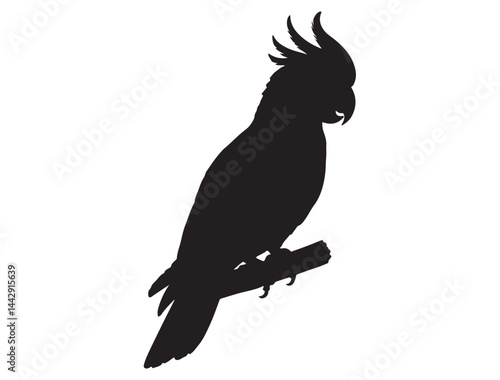 COCKATOO SILHOUETTE WHITE BACKGROUND