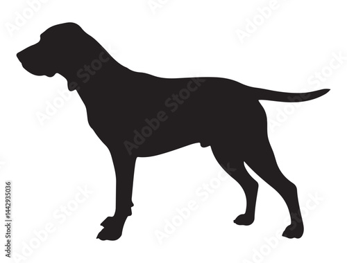 COONHOUND DOG SILHOUETTE