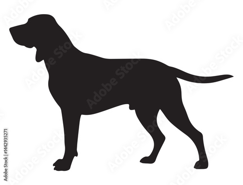 COONHOUND DOG SILHOUETTE