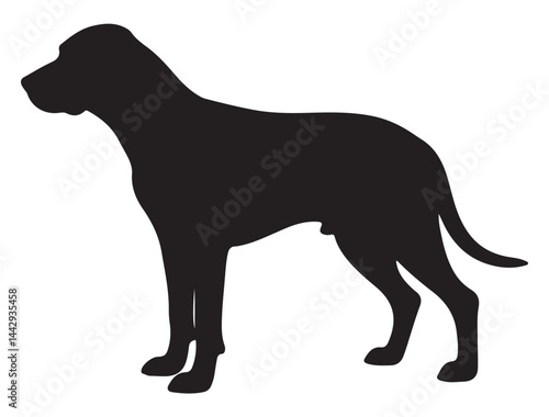 COONHOUND DOG SILHOUETTE