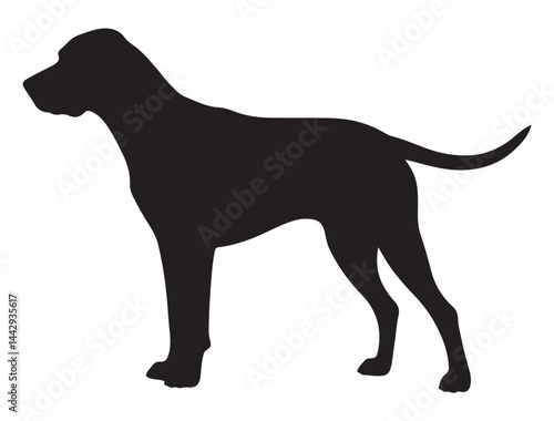 COONHOUND DOG SILHOUETTE