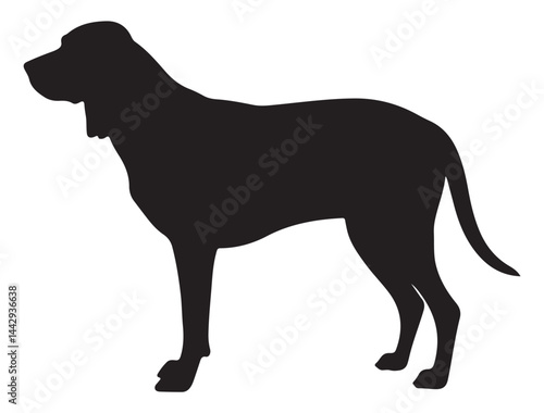 COONHOUND DOG SILHOUETTE