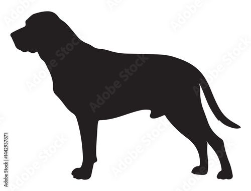 COONHOUND DOG SILHOUETTE