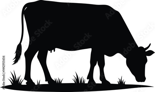 Black silhouette of a cow grazing on grass in a field