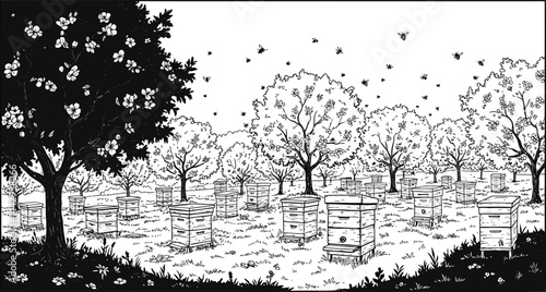 Beehives in Orchard, Black and White Vector