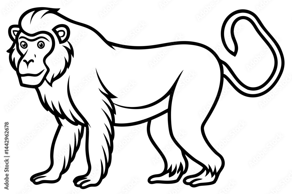 Fototapeta premium Mandrill Stylized Linework
