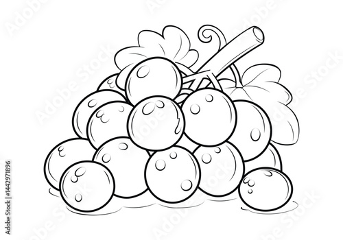 Grapes outline Vector Illustration, Coloring Page for Kids